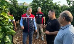 Adana'daki dolu yağışı tarım arazilerini vurdu