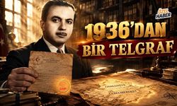 Osmaniye Büyükşehir Olma Hedefi Nereye Dayanıyor?