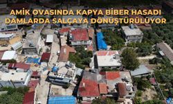 Amik Ovasında kapya biber hasadı damlarda salçaya dönüştürülüyor