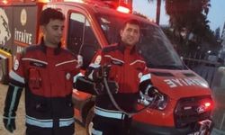 Antakya ve Reyhanlı ilçelerinde yılanlar yerleşim yerlerine indi