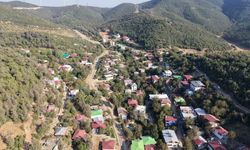 Çukurova Sıcağından Kaçanların Sığınağı