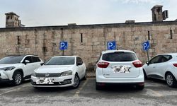 Payas Kalesi Otoparkında Engelli Park Yeri Duyarsızlığı Tepki Çekti
