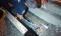 İskenderun'daki farklı noktalarda mahsur kalan hayvanlar kurtarıldı