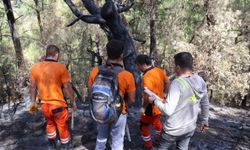 Kozan’da Yanan 5 Bin 900 Hektarlık Alanda Yeniden Yeşil Vatan Mesaisi Başladı