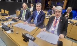 Milletvekili Gülsoy, Dublin'deki ekonomi konferansında Türkiye'yi temsil etti