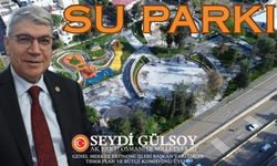 Milletvekili Seydi Gülsoy Duyurdu! Osmaniye Su Parkı Kapılarını Açtı