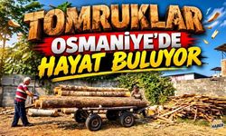 Osmaniye'de Genç Marangoz Endişeli "Muhtemelen son temsilcileriyiz"