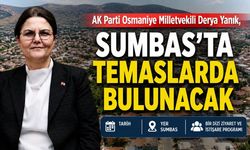 Osmaniye Milletvekili Yanık Yayla Yollarında İnceleme Yapacak