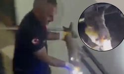 Osmaniye'de Akılalmaz Olay! Kapıyı Açanlar Gözlerine İnanamadı