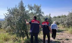 Osmaniye’de Dolu Yağışının Ardından Hasar Tespit Çalışmaları Sürüyor