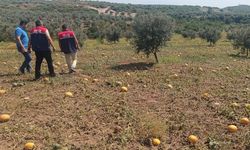 Osmaniye'de Dolunun Faturası Çıkarılıyor