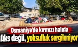 Osmaniye'de kırmızı halıda lüks değil, yoksulluk sergileniyor!