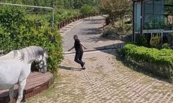 Osmaniye'de Klip Çekilirken Facianın Eşiğinden Dönüldü