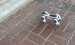 Osmaniye'de Telefoncu Esnafı Çarşıda Robot Köpek Gezdirdi