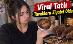 Osmaniye'de Viral Tatlı Akımı Fiyaskoyla Bitti