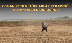 Osmaniye'deki tüccarlar yer fıstığı alımını neden durdurdu