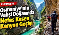 Osmaniye'nin Vahşi Doğasında Nefes Kesen Kanyon Geçişi