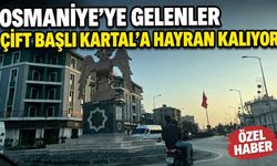 Osmaniye'ye Gelenler Çift Başlı Kartal'a Hayran Kalıyor