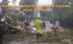 Park halindeki otomobilin üzerine ağaç devrildi