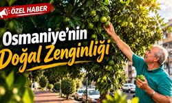 Osmaniye'de Kaldırımda Bedava Bereket!