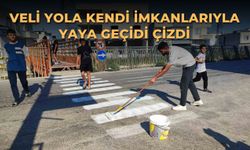 Veli yola kendi imkanlarıyla yaya geçidi çizdi