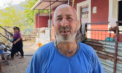 Kozan’daki Yangından Önce Görüntülenen Yeşil Orman Siyaha Büründü