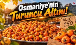 Tezgaha Geldiği Gibi Bitiyor! Osmaniye’de Kapış Kapış Satılan Şifa Deposu
