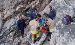 Balık Tutmaya Giderken Kayalıklardan Düşen Şahıs Yaralandı