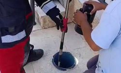 Hatay Reyhanlı'da Havalandırma Borusuna Düşen Yavru Kedi Nasıl Fark Edildi