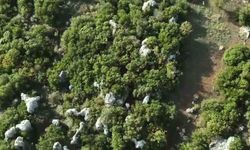 Hatay'da Kenevir Operasyonu Nasıl Düzenlendi