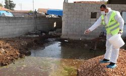 Hatay'da Şap Hastalığına Karşı Karasinek Mücadelesi Neden Başlatıldı
