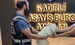 Kadirli’de Bahçeden Çalınan Köpek Bulundu