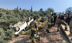 Kontrolden Çıkan Kamyonet Zeytin Bahçesine Uçtu