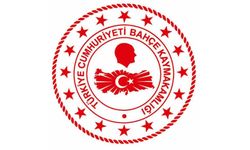 KPSS 60 puanla daimi işçi alımı ilandaki o şart herkesi şaşırttı!