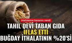 Türkiye'nin gıda devi iflas etti! Buğday ithalatının yaklaşık yüzde 20'sini yapıyordu