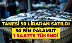 Tanesi 50 liradan satışa çıktı, 30 bin palamut 1 saatte tükendi
