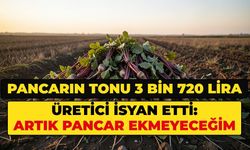 Pancarın ton fiyatı belli oldu. Üretici: Artık pancar ekmeyeceğim