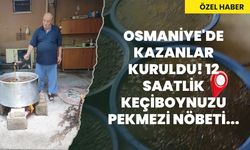 Osmaniye'de kazanlar kuruldu! 12 saatlik keçiboynuzu pekmezi nöbeti...