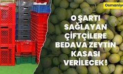 Osmaniye'de o şartı sağlayan çiftçilere bedava zeytin kasası verilecek!