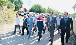 Osmaniye’de Zeytin Hasat Töreni Düzenlendi