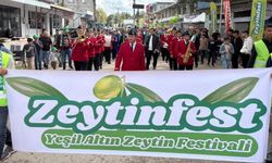 Osmaniye’nin ‘Yeşil Altın’ı vitrine çıktı: 1 milyon ağaç, 7 fabrika