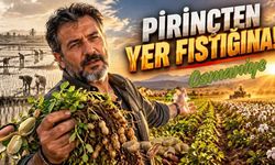 Sıtma ve bürokrasi yüzünden pirinci bıraktılar. Osmaniye'nin yeni sembolü tescilli yerfıstığı oldu