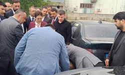 Programda Bayılan Vatandaşa İlk Müdahale Milletvekili Derya Yanık'tan Geldi