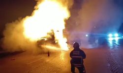 Seyir Halindeki Tır Alev Alev Yandı