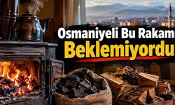 Sobalı Evlerde Kış Bütçesi! Osmaniye’de 1 Oda Aylık Kaç Liraya Isınır?