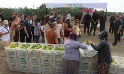 Sunar Yatırım Lezzet Festivali Kapsamında Hangi Hasat Etkinliğini Düzenledi