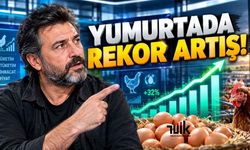 Kümes hayvancılığı verilerinde dikkat çeken rakamlar açıklandı