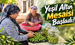 Toprakkale'de Yeşil Altın Dönemi Başladı! Avlularda Hazırlı Sürüyor