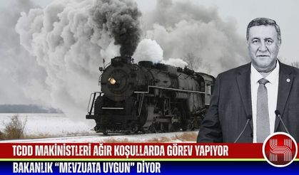 Gürer: “Taşeron çalışma sistemi modern köleliktir”