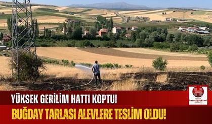 Elektrik Hattından Alevler Yükseldi! Köylüler Seferber Oldu!